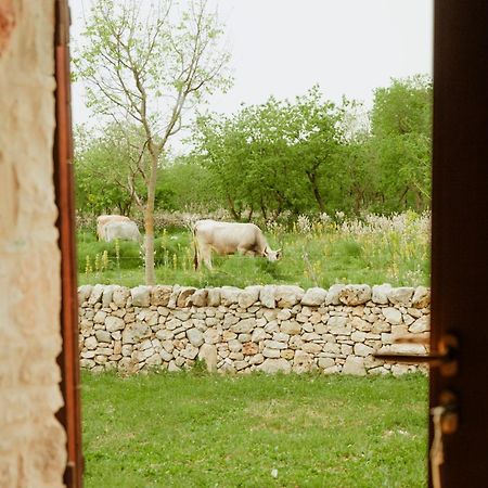 Tenuta Tedone Consolini Villa Ruvo di Puglia Eksteriør bilde