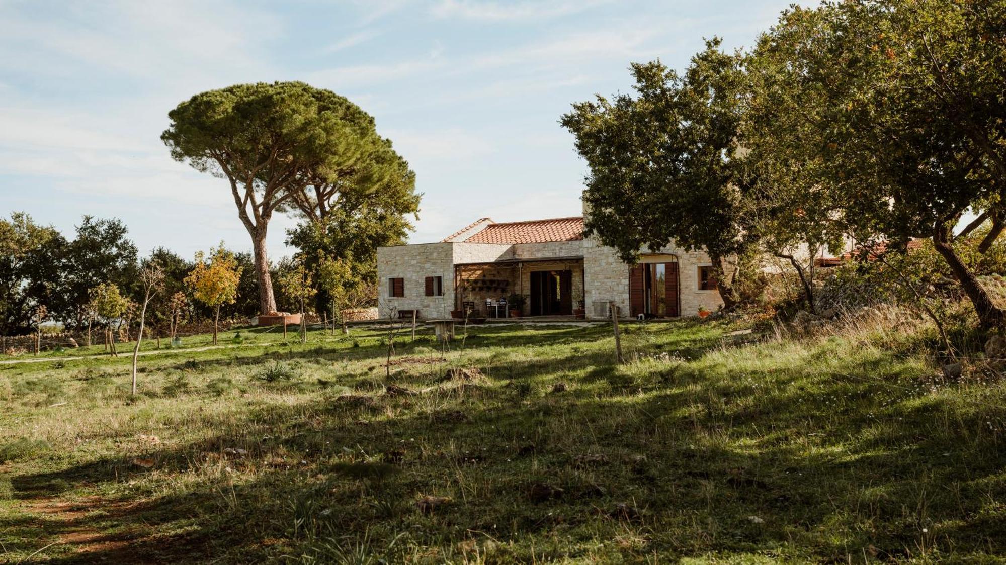 Tenuta Tedone Consolini Villa Ruvo di Puglia Eksteriør bilde