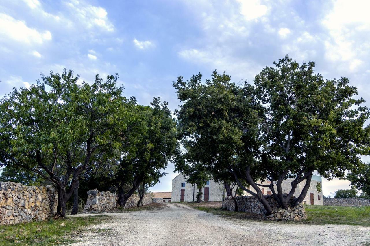 Tenuta Tedone Consolini Villa Ruvo di Puglia Eksteriør bilde