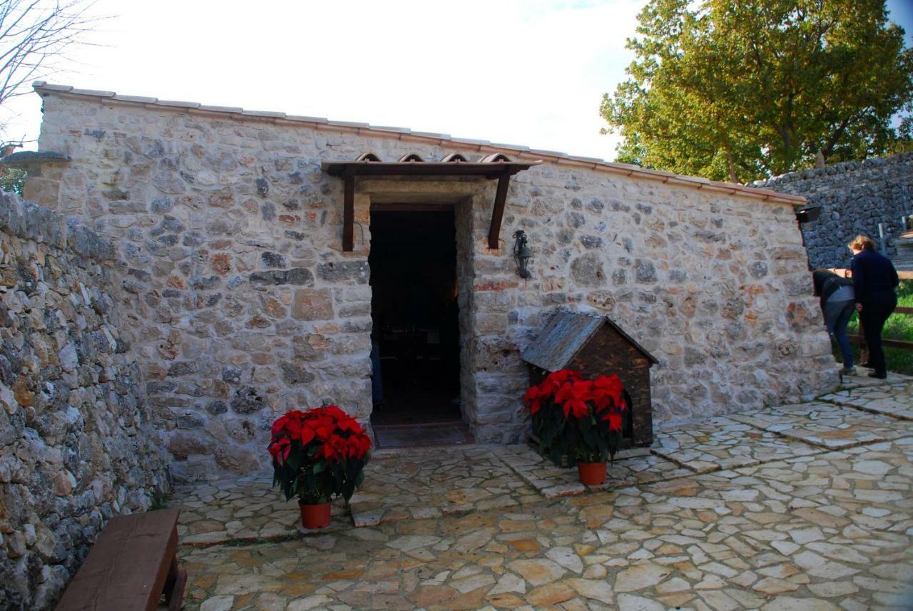 Tenuta Tedone Consolini Villa Ruvo di Puglia Eksteriør bilde