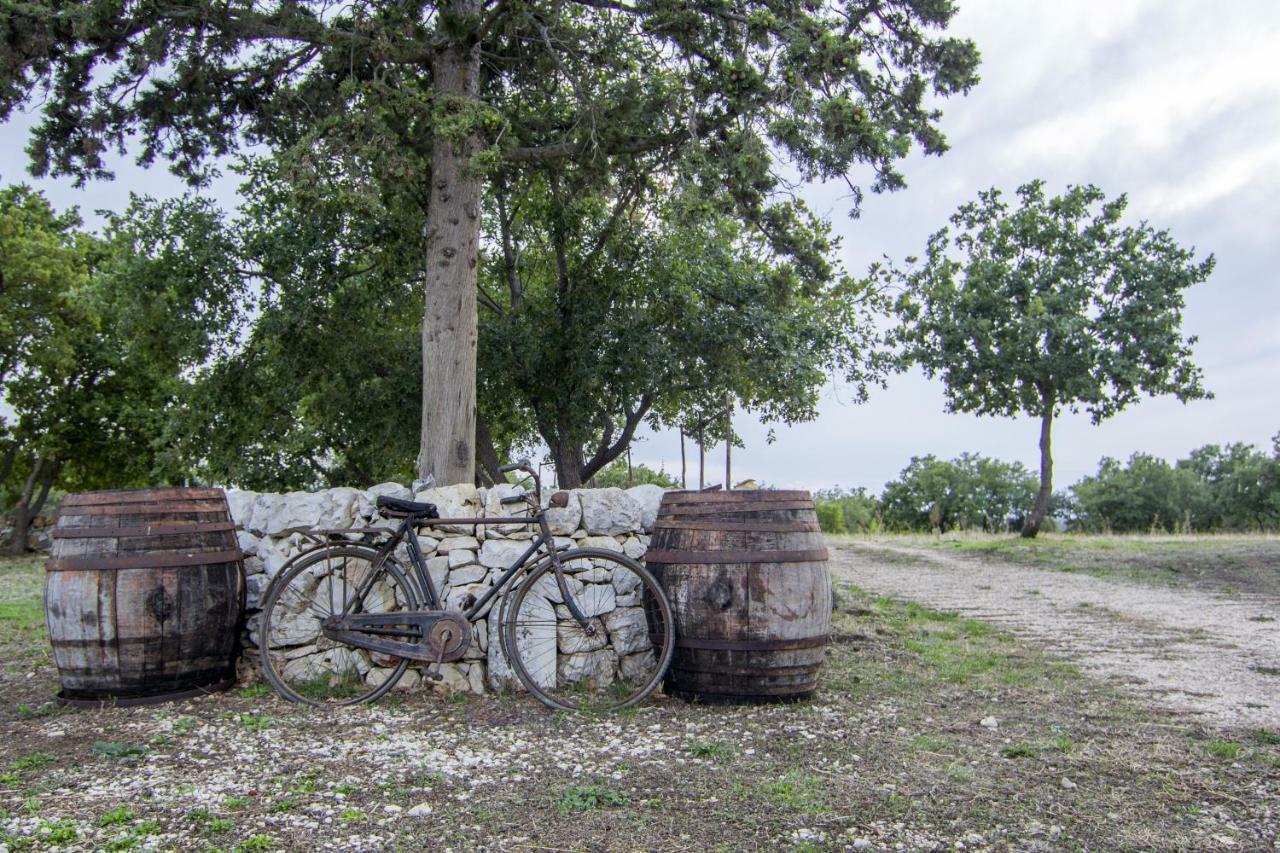 Tenuta Tedone Consolini Villa Ruvo di Puglia Eksteriør bilde