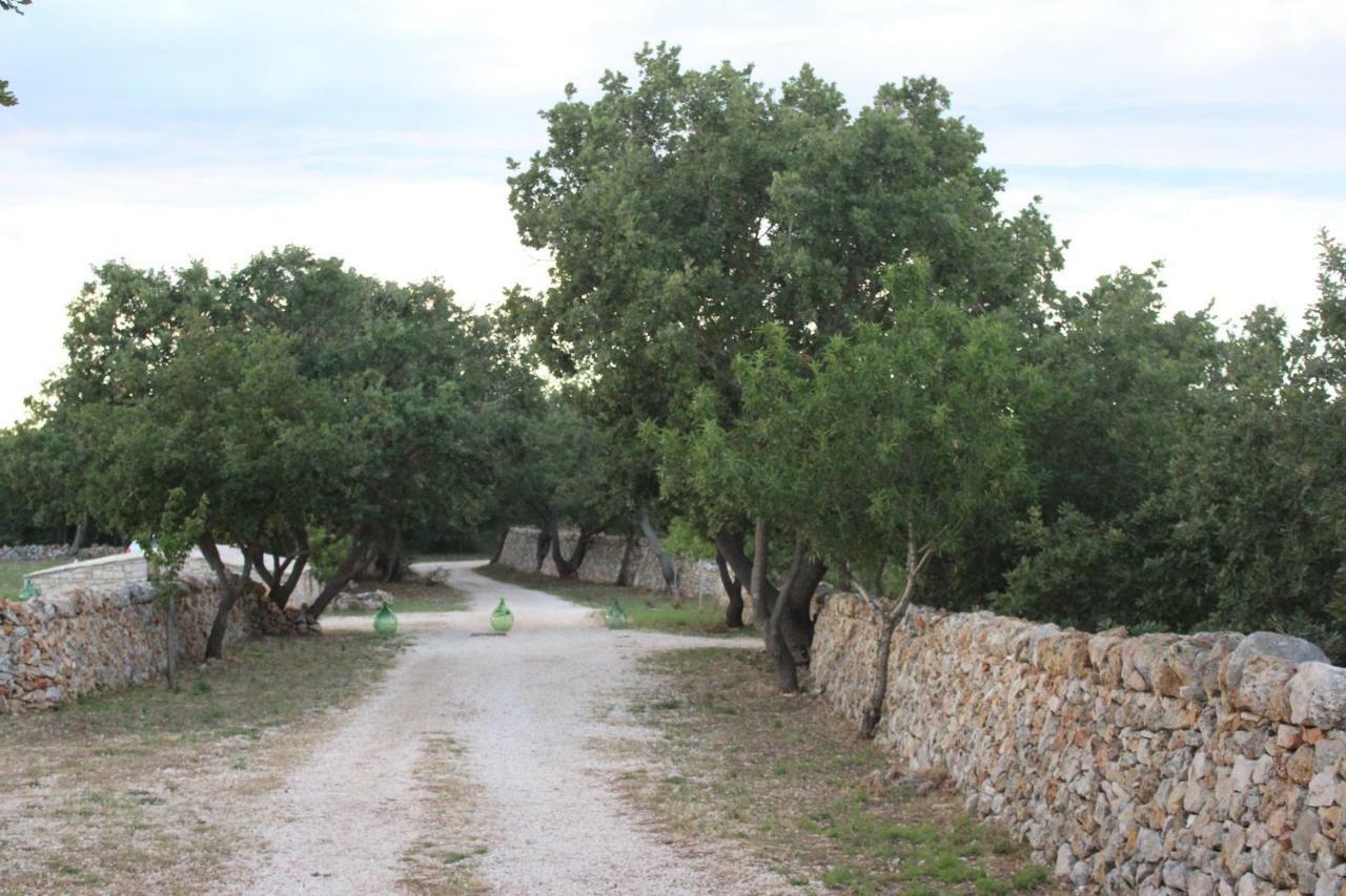 Tenuta Tedone Consolini Villa Ruvo di Puglia Eksteriør bilde
