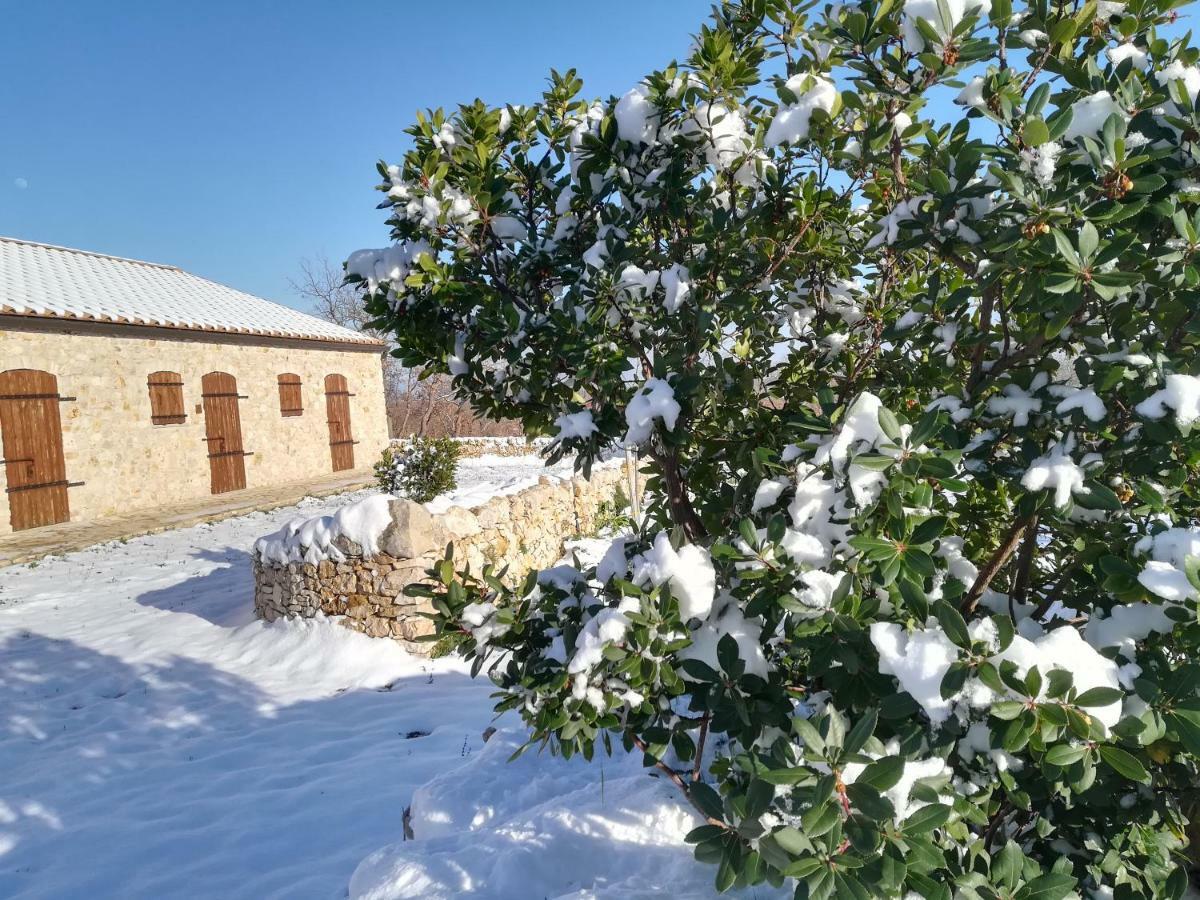 Tenuta Tedone Consolini Villa Ruvo di Puglia Eksteriør bilde