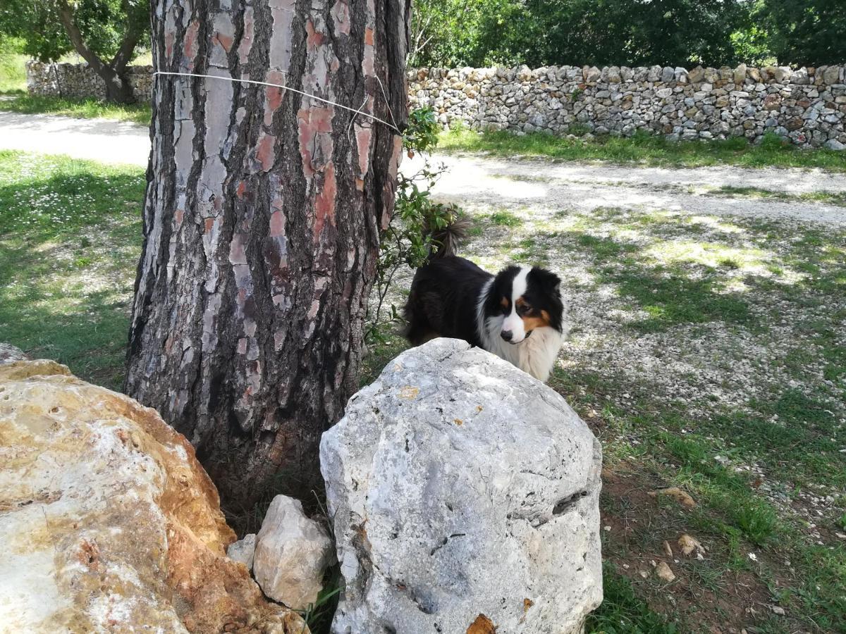 Tenuta Tedone Consolini Villa Ruvo di Puglia Eksteriør bilde